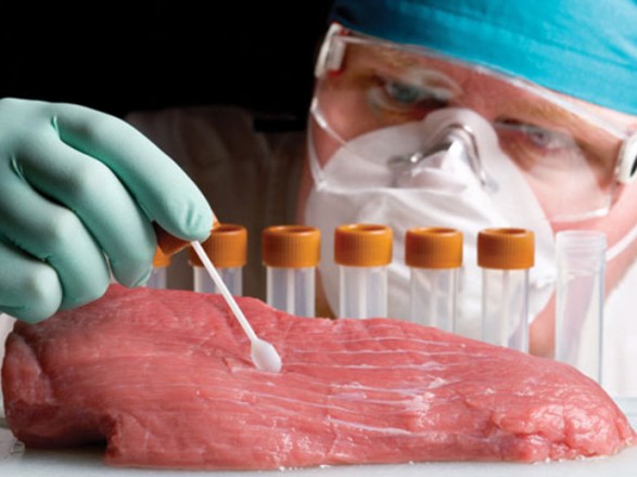 Около 40% украинской мясной продукции содержит антибиотики