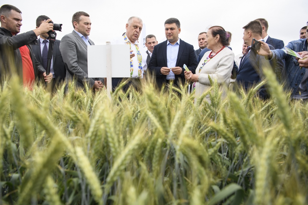Украина может вдвое нарастить объемы агропроизводства