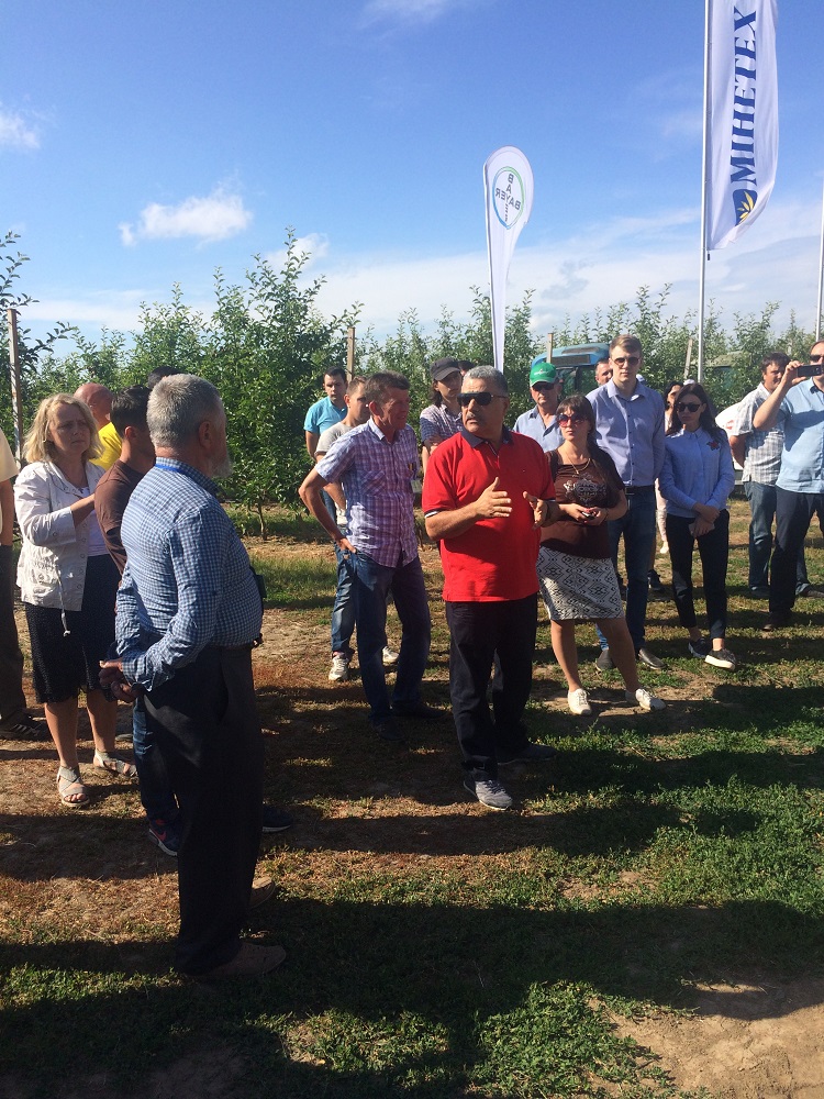Винницкая область занимает первое место по производству плодово-ягодной продукции