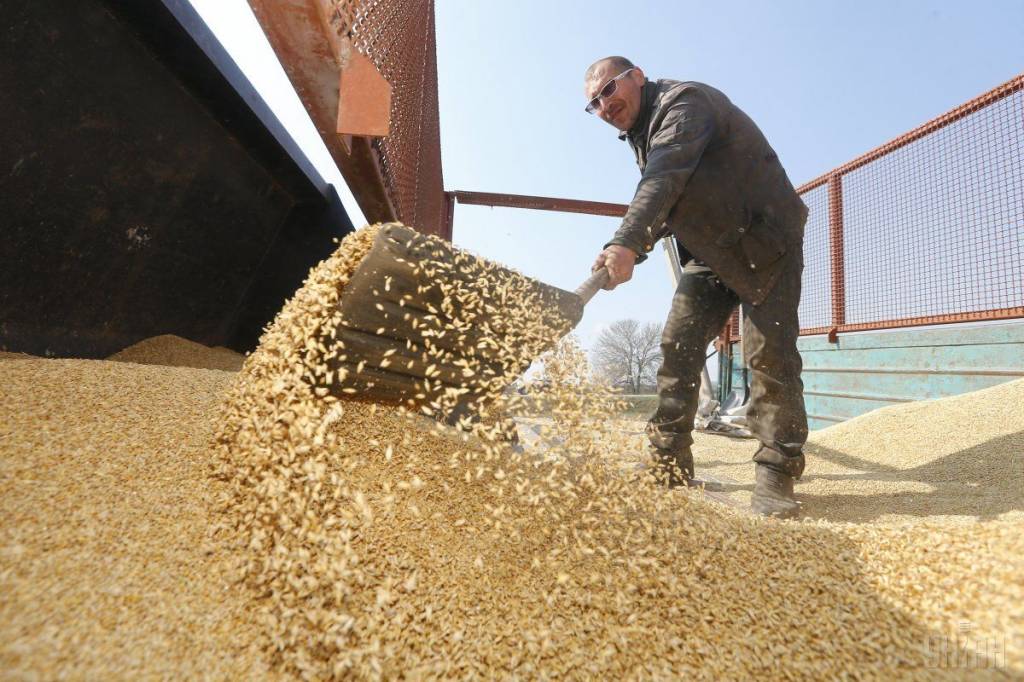 Предложенная индексация тарифов грузоперевозок от Укрзализныци негативно повлияет на зерновой экспорт