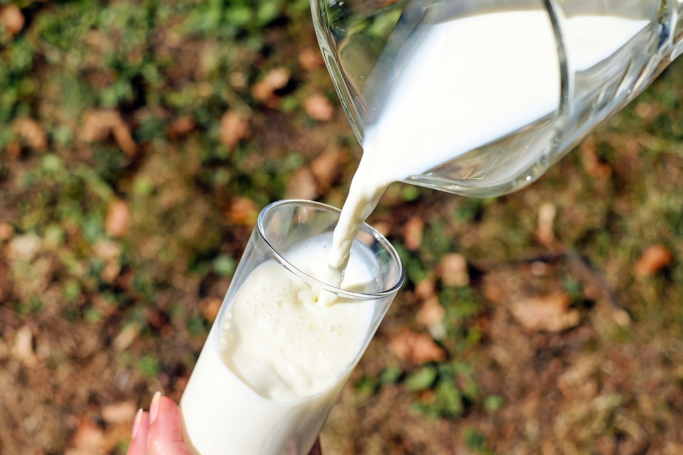 В Украине должно остаться лишь три сорта молока-сырья - экстра, высший и первый