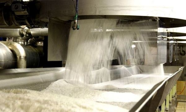 Самый большой за шестьдесят лет объем свеклы обрабатывает сахарный завод на Волыни 