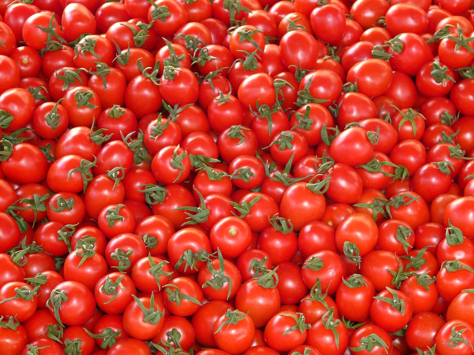 Украина сокращает экспорт томата из-за снижения спроса со стороны Беларуси
