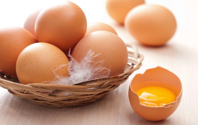 Украина отправила на экспорт 71,5 тыс. тонн яиц