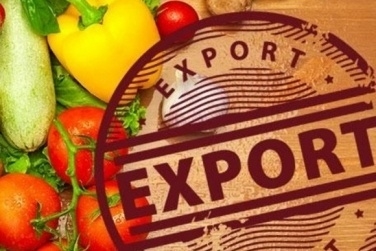 Украинский аграрный экспорт в страны ЕС увеличился на $145 млн