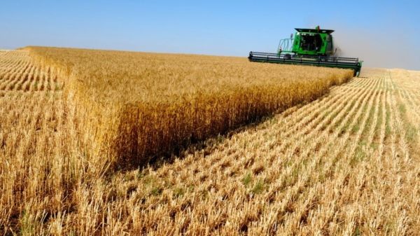 Аграрии переведут Украину в статус сырьевых экономик