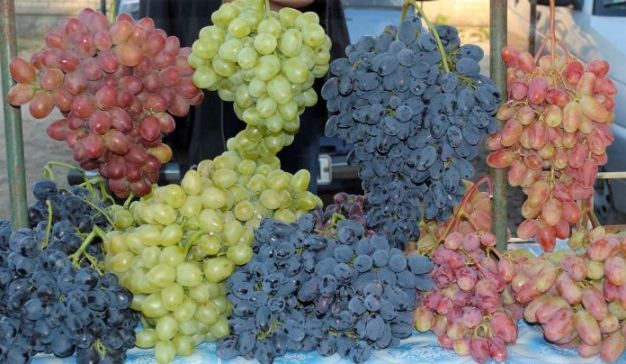 Классификация сортового винограда