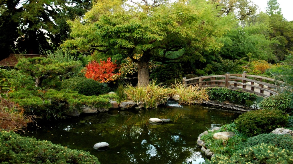 Японский сад.jpg