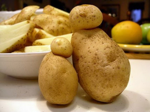 Сорт картофеля Аргос.jpg