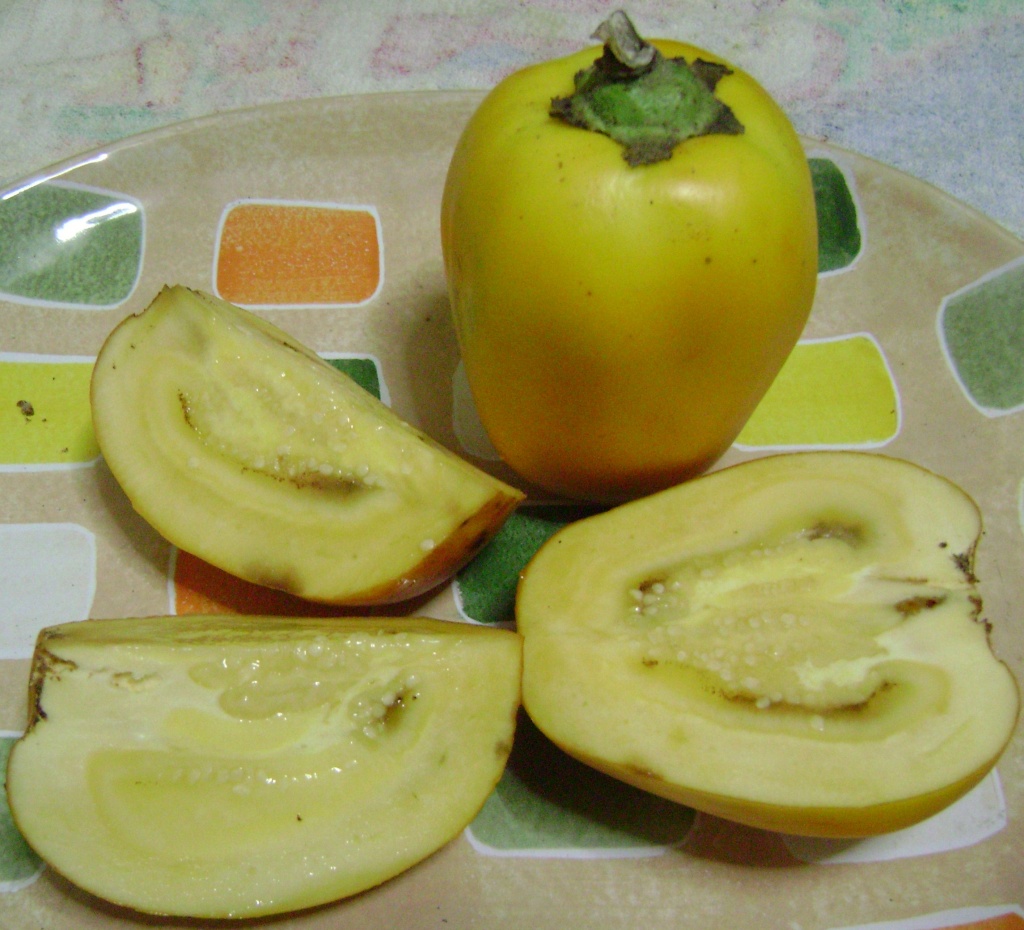 Кокона. Solanum sessiliflorum.JPG