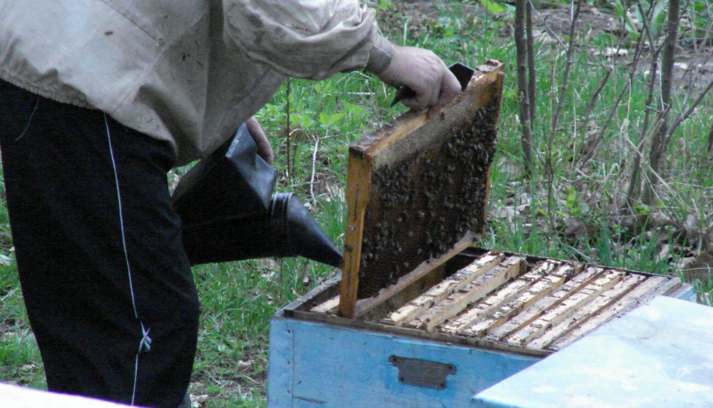 Подготовка пчелиных гнезд к зимовке.jpg