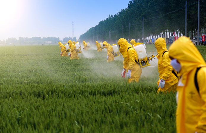Влияние пестицидов на здоровье человека