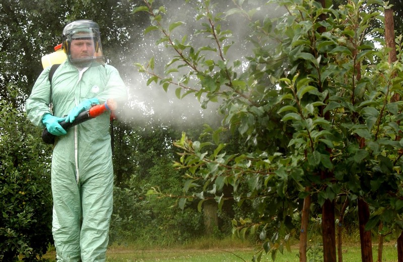 Пестициды. Борьба с вредителями.jpg