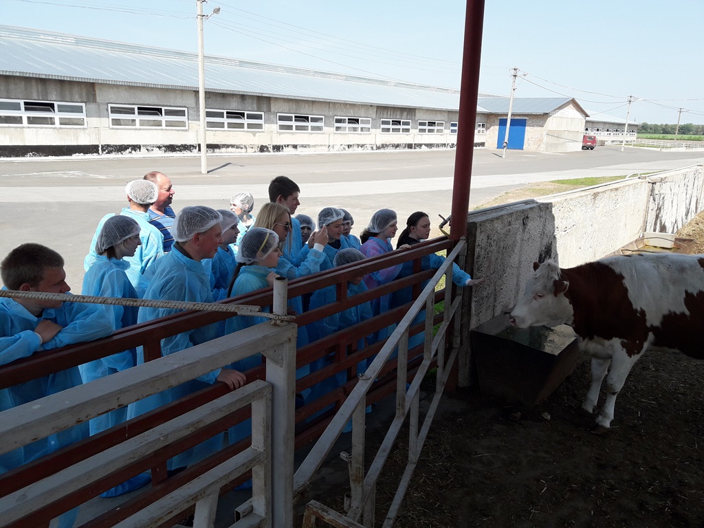 Детям с особыми потребностями показали, как работает молочная ферма