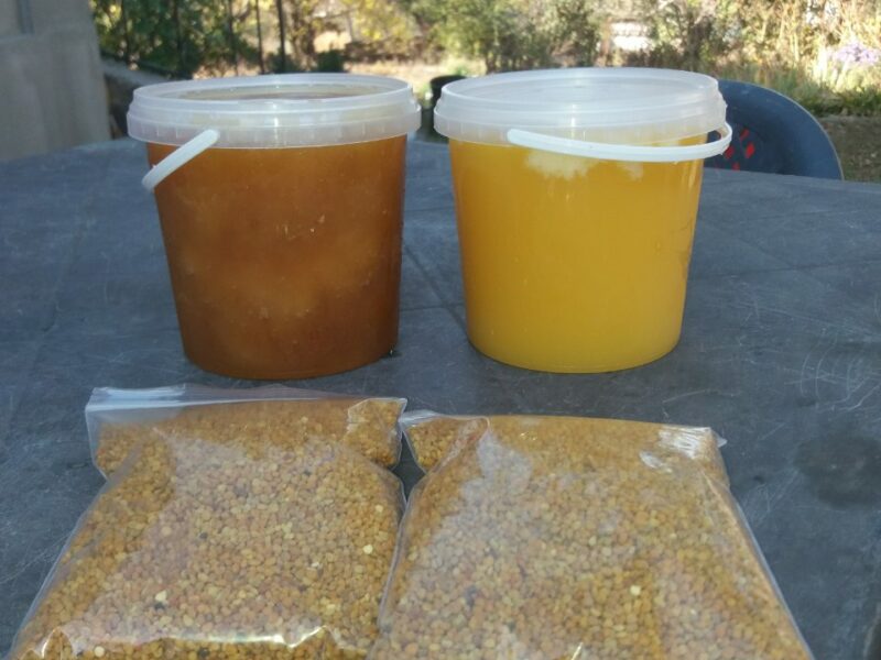 Мёд подсолнух, гречка, Разнотравья