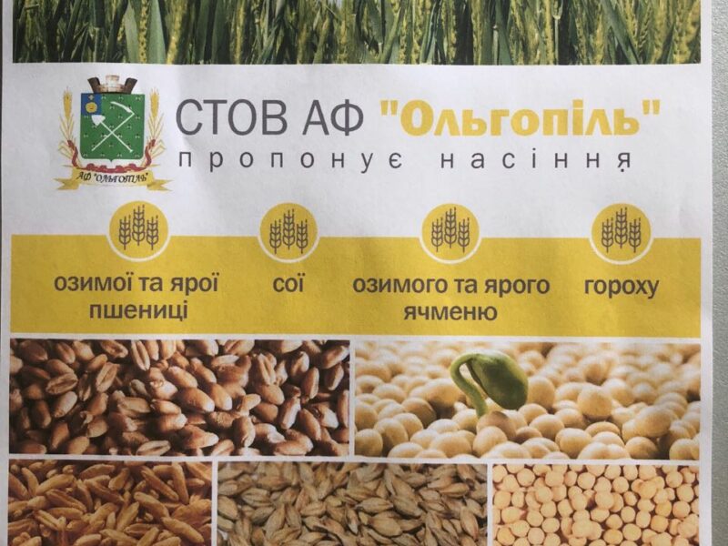 Продам високоякісне насіння зернових культур