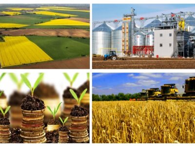 Продаем землю, фермерские хозяйства Украина 1000-100000 га