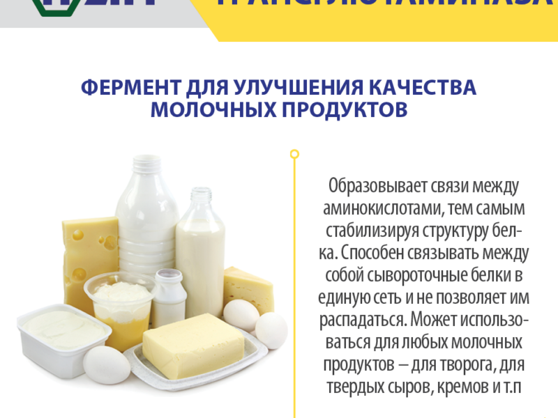 Трансглютаміназа для сиру і молочних продуктів