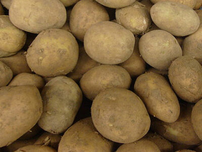 Оптовая продажа картофеля от ТОВ Компании "УкрТор"