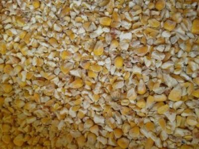 Биті зерна кукурудзи