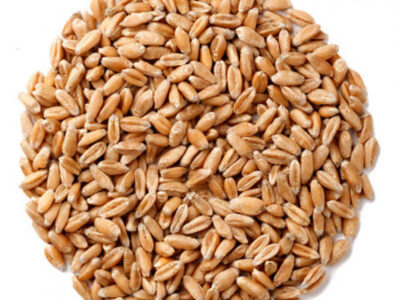 Реализуем пшеницу