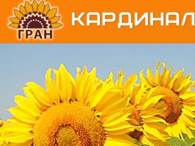 РАННЬОСТИГЛИЙ ГІБРИД СОНЯШНИКУ КАРДИНАЛ (95-100 ДН.)