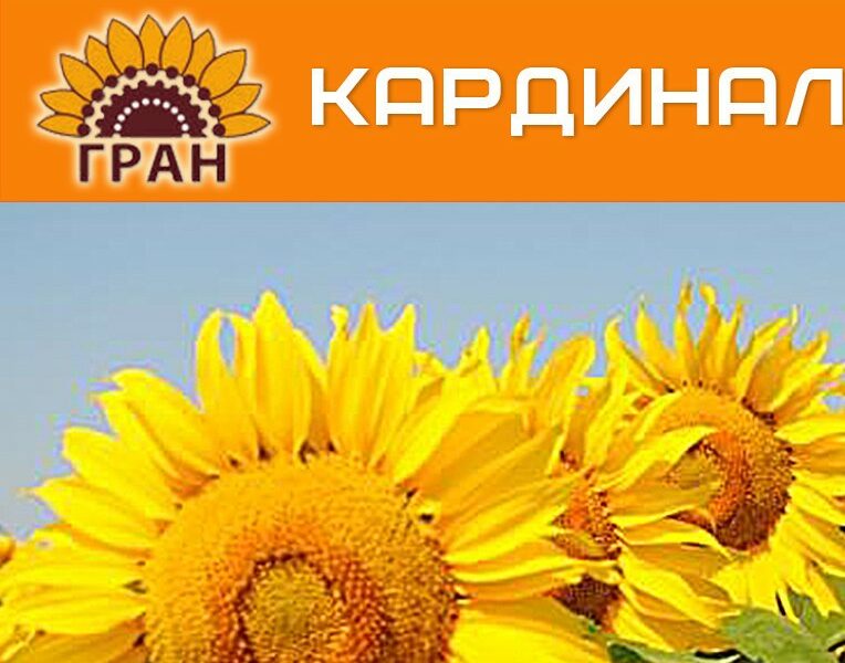 РАННЬОСТИГЛИЙ ГІБРИД СОНЯШНИКУ КАРДИНАЛ (95-100 ДН.)