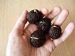 Орех Чёрный семена (10 штук) для выращивания саженцев, горіх чорний насіння, родственник грецкого