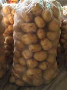 Продам картофель оптом