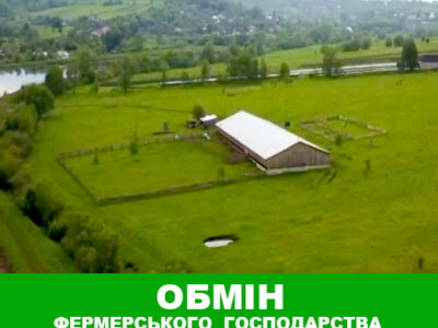 Обміняю фермерське господарство на землю або склад в Київській області