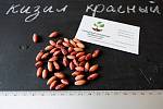 Кизил красный семена (10 штук) для выращивания саженцев(насіння на саджанці кізіл, кизіл, кізил) + инструкция