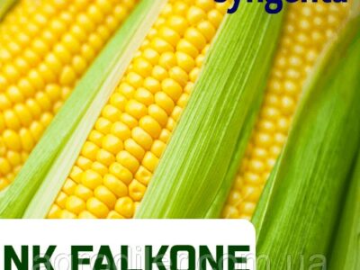 Семена кукурузы "НК Фалькон" ФАО 220