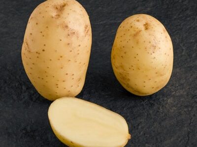 Продам картоплю сорт "Мелоді"