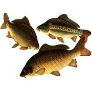 Живая товарная рыба: карп, толстолоб, сом и др.