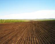 Покупка корпоративних прав на землю сельхозназначения от 800 га