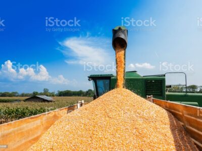 Закупаем зерновые по всей территории Украины