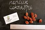 Персик поздний (сентябрь) семена (10 штук) насіння, косточка, семечка для выращивания саженцев + инструкция