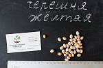Черешня жёлтая семена (10 штук) насіння, косточка, семечка для выращивания саженцев + инструкция