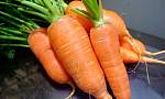 Свежий лук, морковь, капуста на продажу