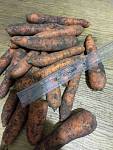 Цибуля морква пекінка КАПУСТА, картопля, буряк, сіль