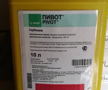 Гербицид ПИВОТ BASF для люцина, люцерны и сои
