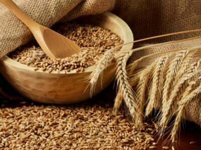 Куплю пшеницу фуражную. Луганск и область