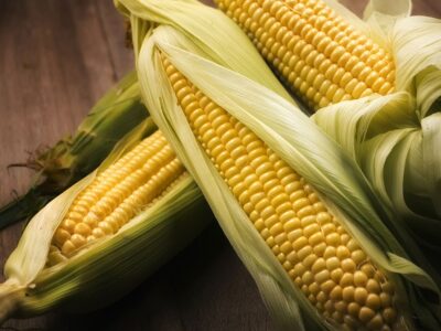 Закуповуємо кукурудзу в Україні