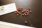Айва семена (10 шт) для выращивания саженцев семечка насіння на саджанці + инструкция + подарок