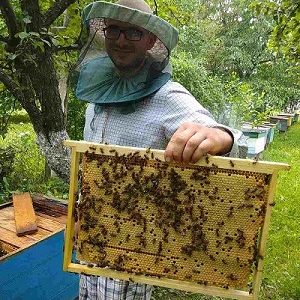 Привезу пчелопакеты, бджолопакети, пчелы-бджоли на 2020 год -Доставка