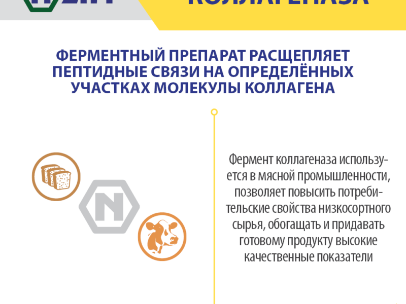 Коллагеназа ENZIM - Завод ферментних препаратів (Україна)