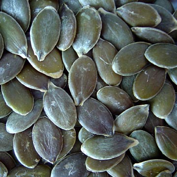 Продам насіння голозерного гарбуза 2017 року з кінця вересня п.р.