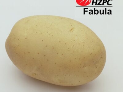 Насіннєва картопля Фабула