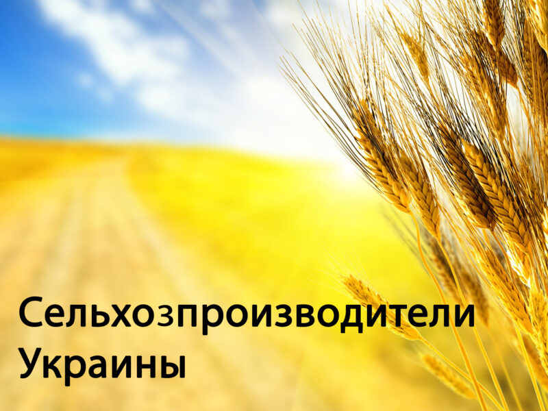 "Зерновые,бобовые,масличные 2019"-фермеры Украины