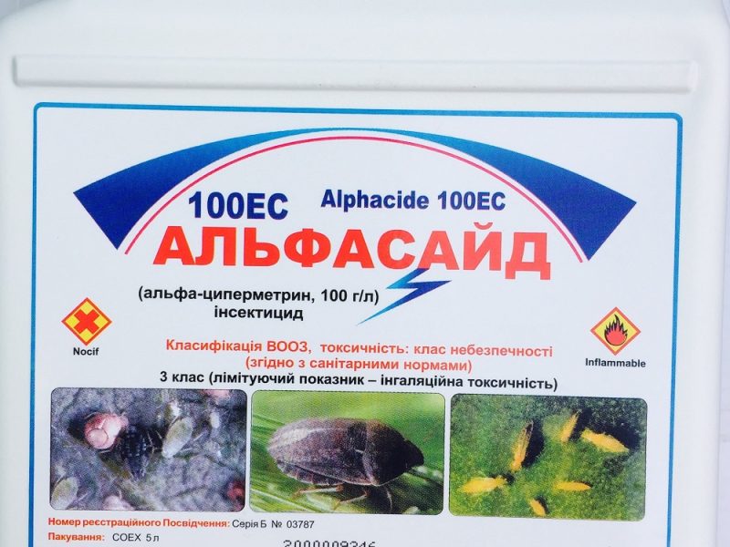 Продам гербициды, фунгициды, исектициды недорого